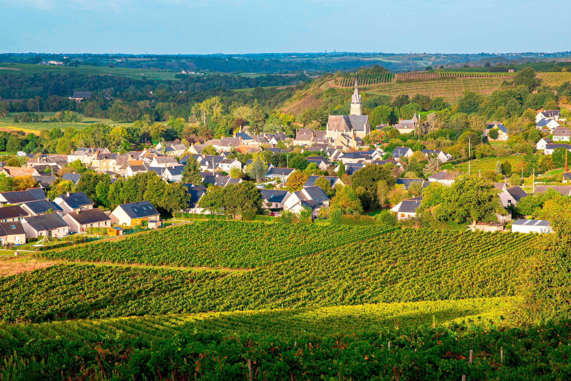 paysage vallée de la loire